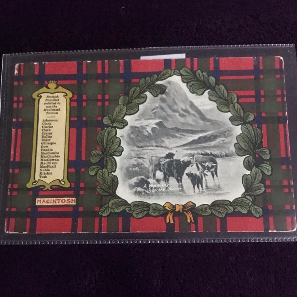 Vintage Scottish postcard featuring Macintosh name